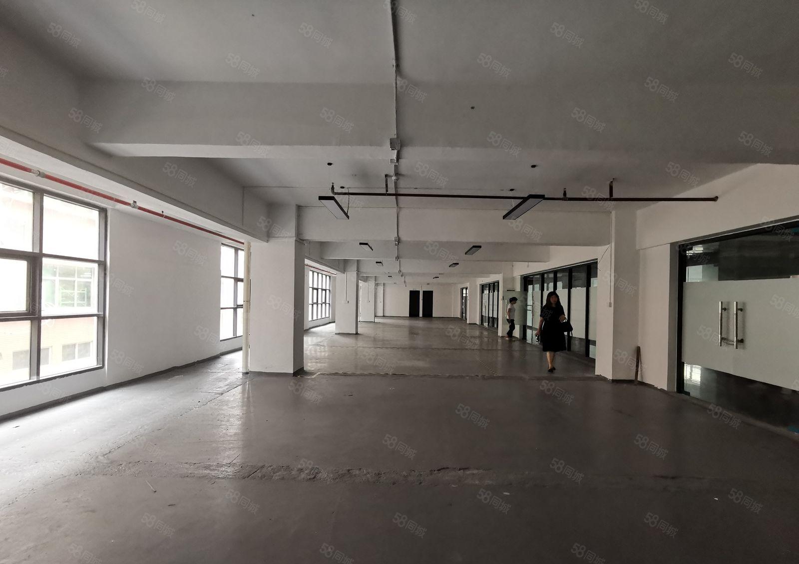 龙华主干道硅谷大院房东直租全新改造产业园100平起租共600