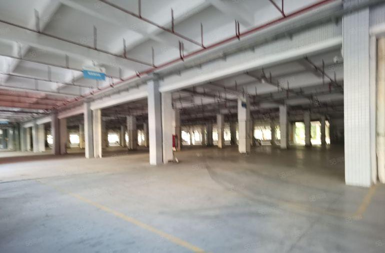 龙华地铁口红本独院厂房6500平方可分租带丙二类消防可办环评