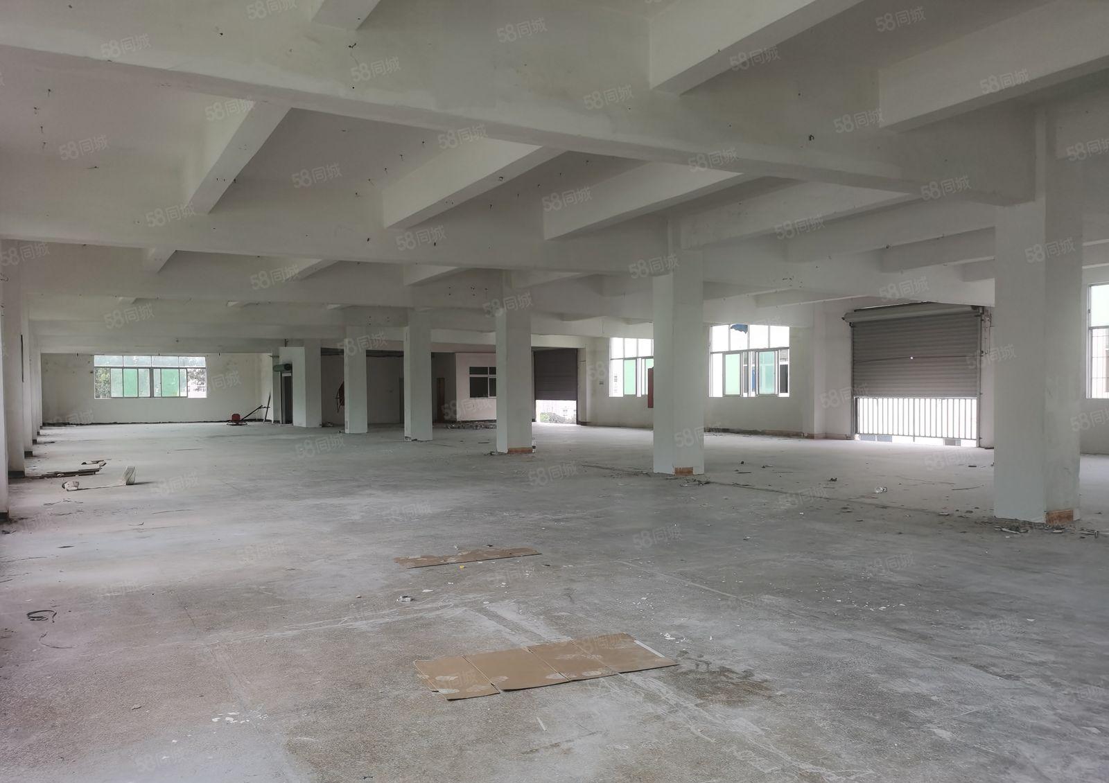 观澜和清湖交界的大和附近独院厂房出租，面积4000平米可分租