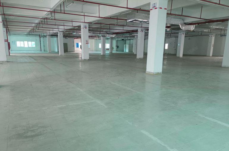 龙华大浪原房东红本独院9600平厂房出租，可以分租200平。