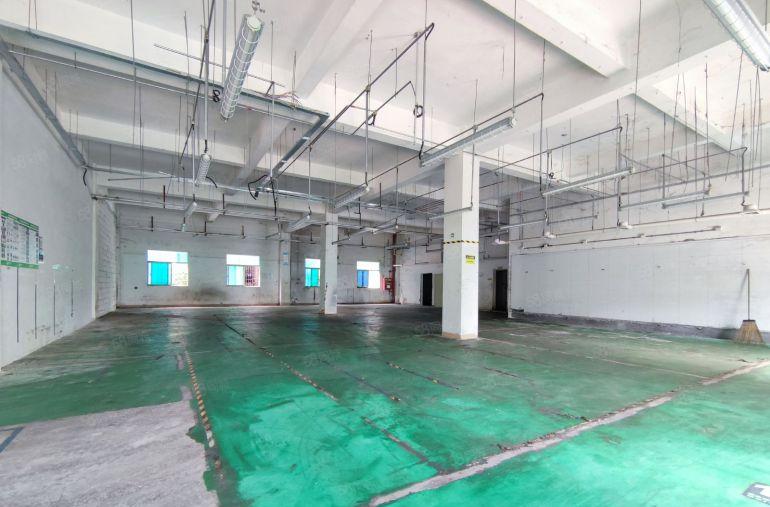 观澜龙观快速路旁一楼900平二楼1800平厂房出租可分租