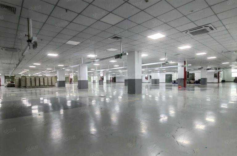 龙华地铁口无尘车间厂房出租1000平，可做电子加工生产仓储