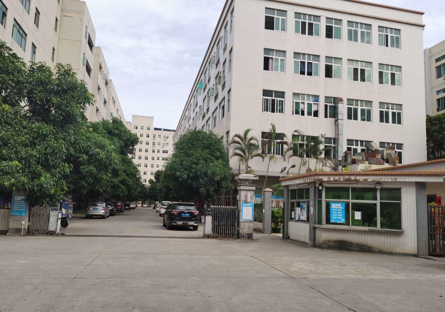 300平分租龙华大浪工业区独院6000平厂房仓库出租1楼分租