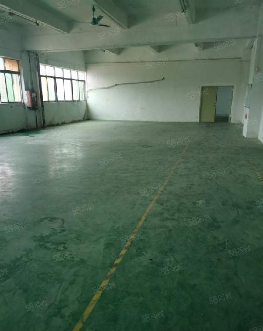 龙华区观澜街道库坑新出三楼650平方，带装修，厂房出租