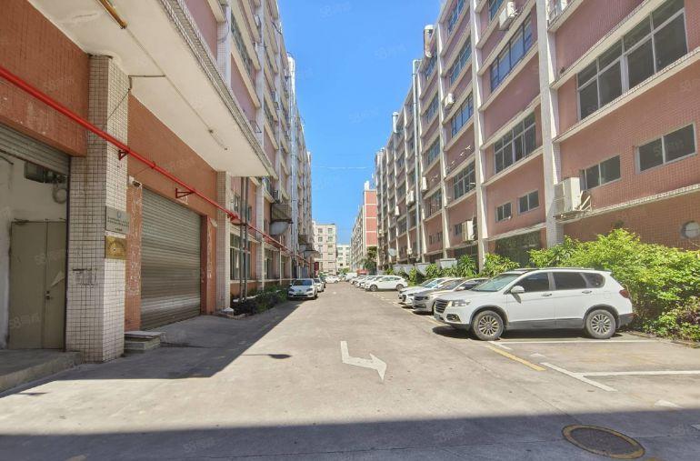 龙华大浪红本厂房一楼出租1000平层高6.5米仓库招租可分租