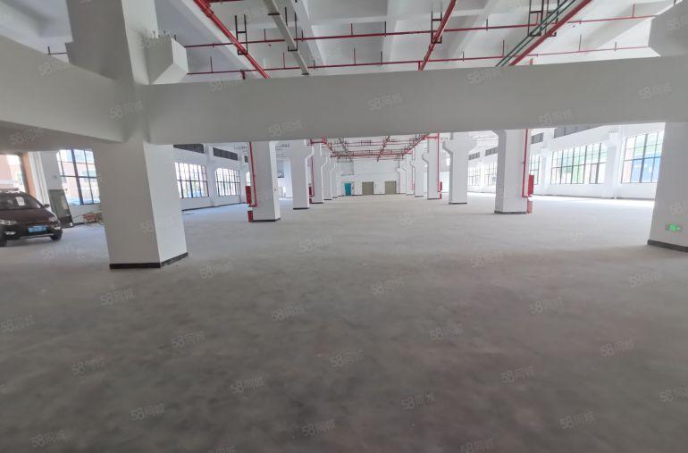 深圳龙华原房东独门独院一楼3000平办公仓库整租分租超大空地