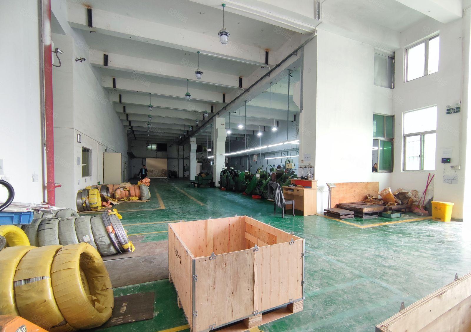 观澜 一楼标准厂房出租1170平方 高度6米带牛角