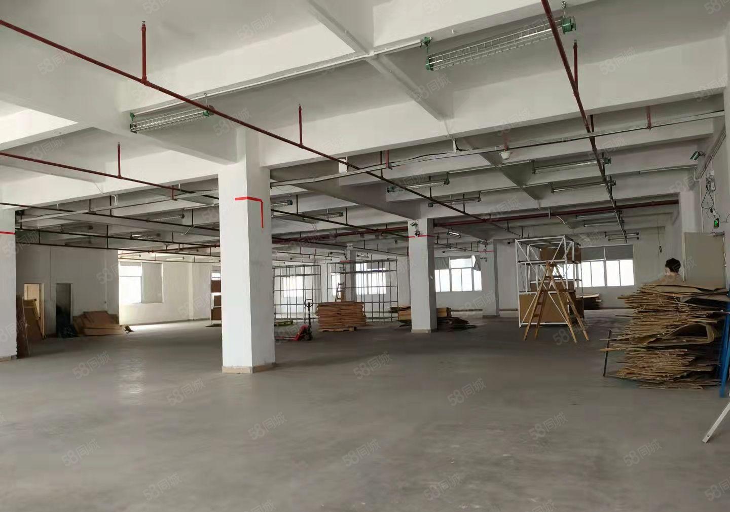 龙华大浪新百丽附近楼上2244平工业厂房出租