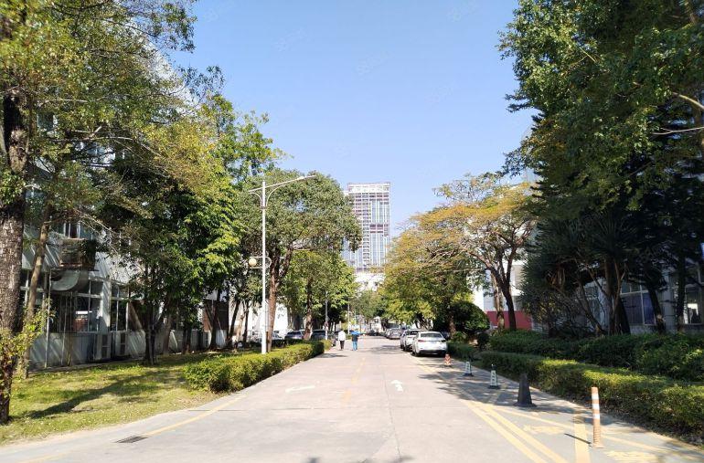 龙华阳台山东地铁口原房东工业园楼上1000平带装修厂房出租