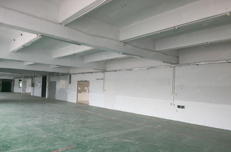 樟坑径新出1楼带豪华装修1380平方厂房仓库出租