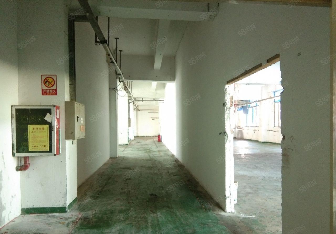 大浪原房东新出楼上整层1200平实用面积1100平价格实惠