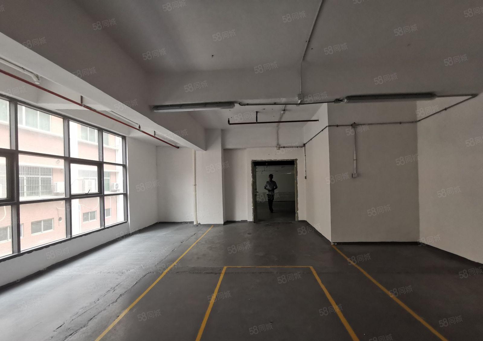 龙华主干道硅谷大院房东直租全新改造产业园100平起租共600