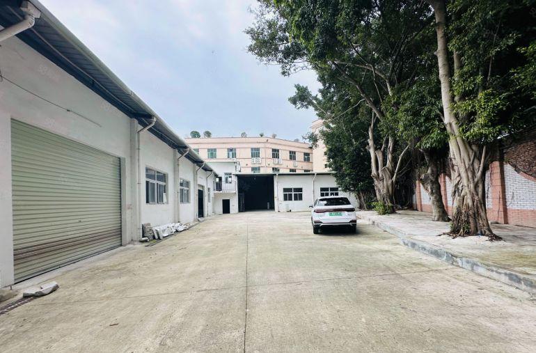 龙华元芬单一层独院钢构2500平出租层高7米近地铁站好招工