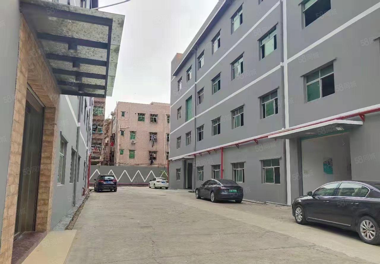 大浪1080平实际面积出租厂房