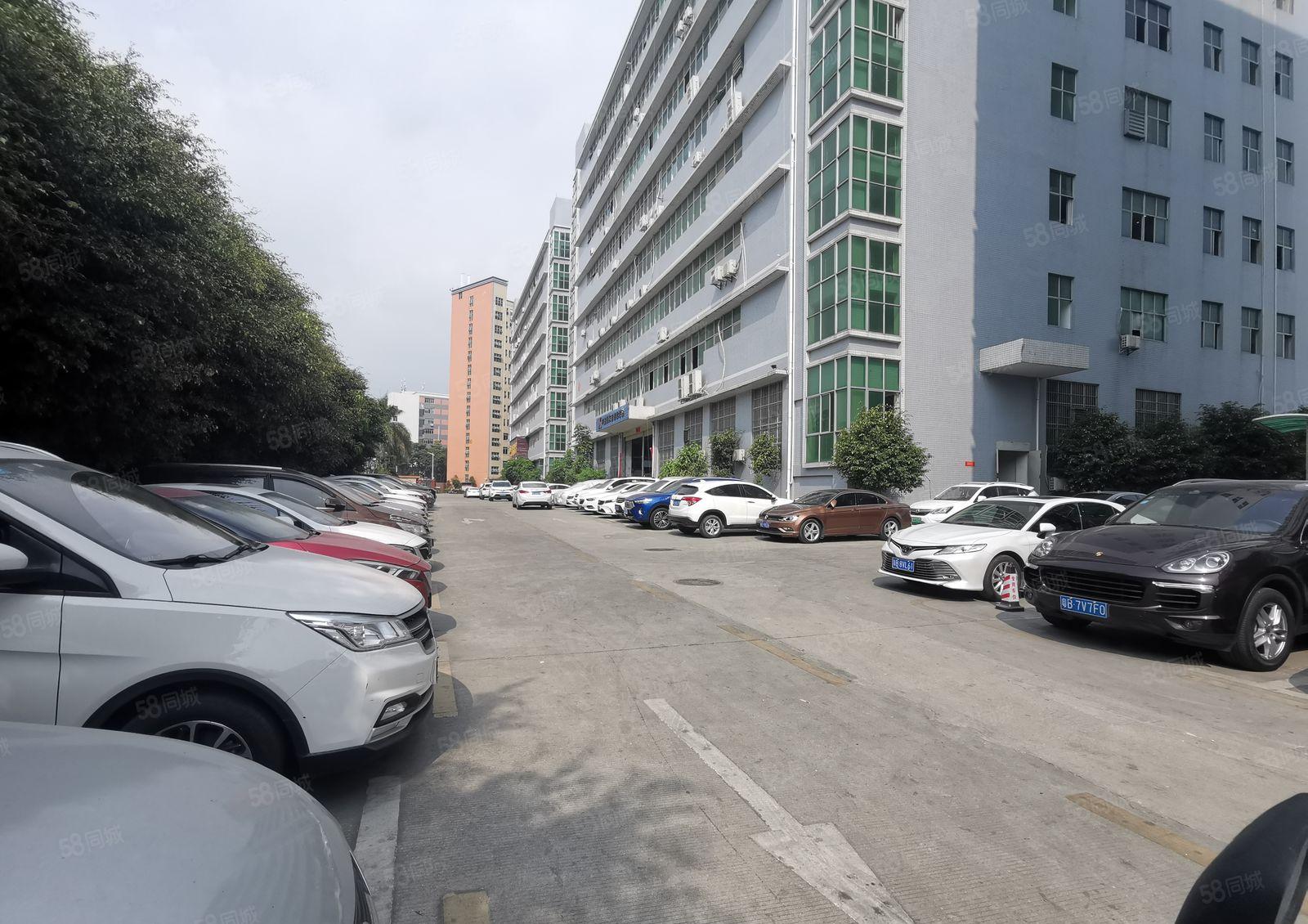 龙华浪口工业园2000平精装修办公仓库无尘车间厂房出租可分租