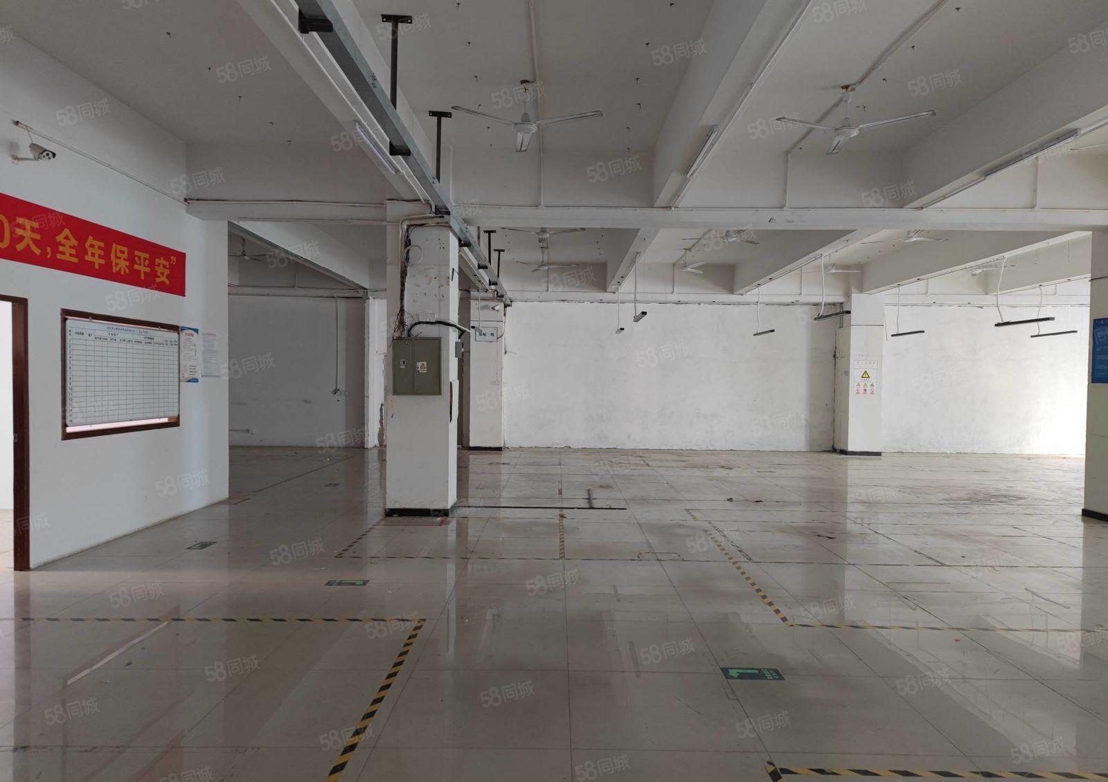 龙华大浪商业中心附近新出1200平工业厂房出租