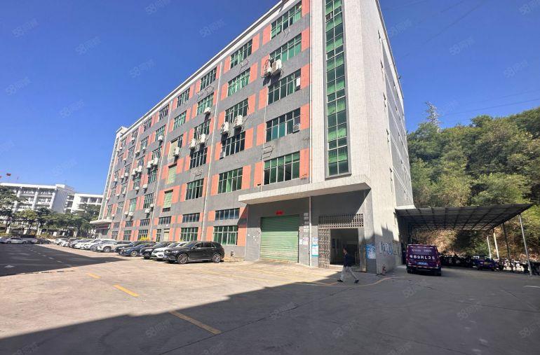 龙华大浪原房东工业园300平精装修办公室厂房低价出租仓库办公