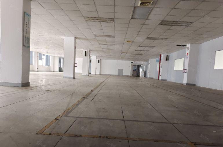 价格8元起 仲恺陈江仲恺大道边带装修厂房出租 300起分租