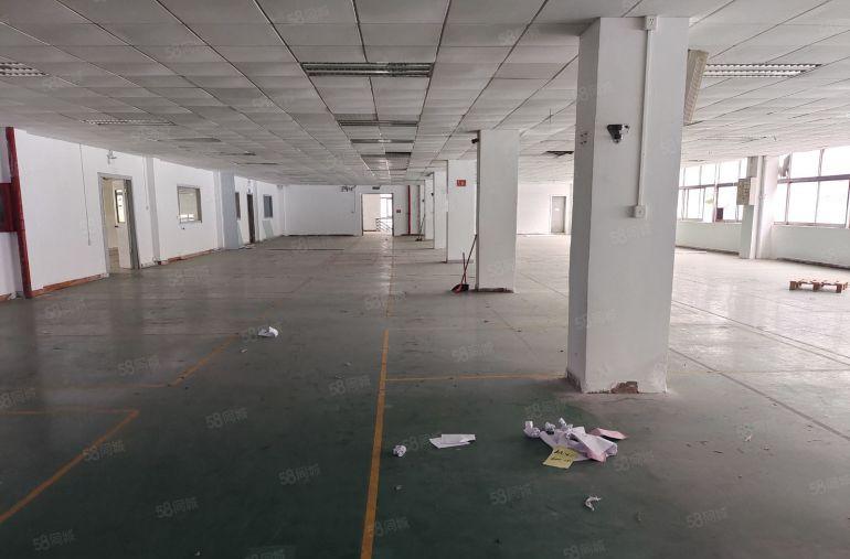 价格8元起 仲恺陈江仲恺大道边带装修厂房出租 300起分租