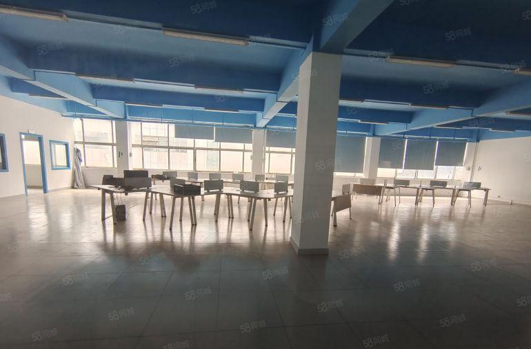 价格8元起 仲恺陈江仲恺大道边带装修厂房出租 300起分租