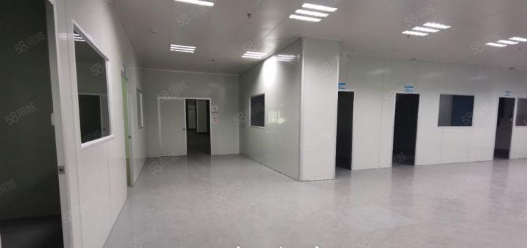 陈江原房东红本标准厂房出租