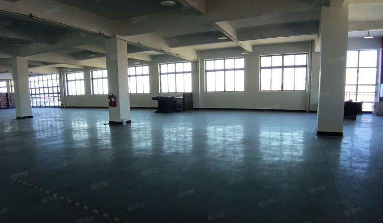 8元原房东独栋标准厂房6500平带现成装修免转让费可分租