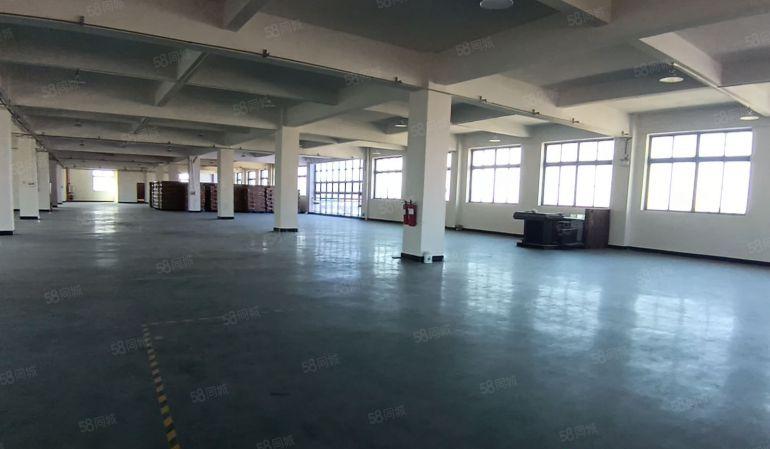 8元原房东独栋标准厂房6500平带现成装修免转让费可分租