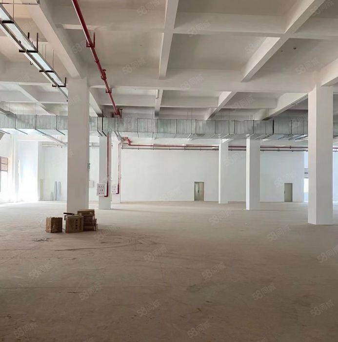 仲恺区陈江镇新独门独院10000平米厂房出租