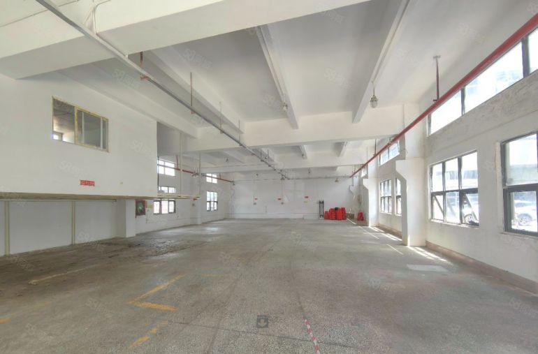 龙岗原房东直租   厂房100平起租  大车随意进出