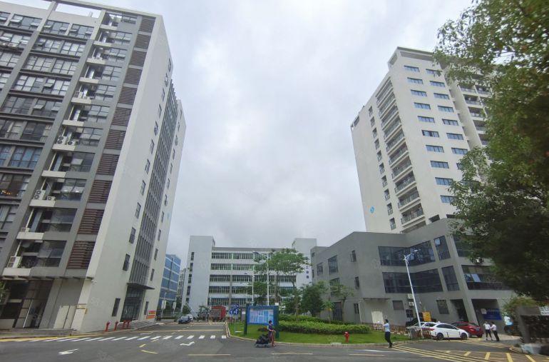 龙岗原房东直租免租6个月实际面积出租1000平方厂房仓库出租