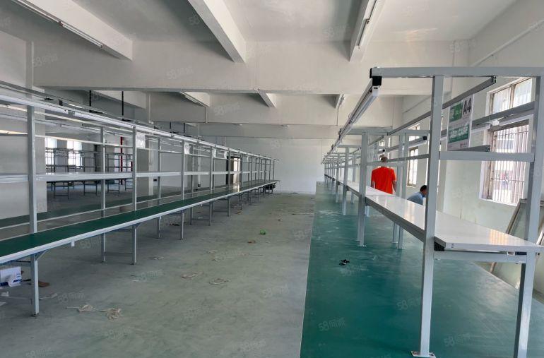 横岗原房东全新装修现成办公室，大小分租