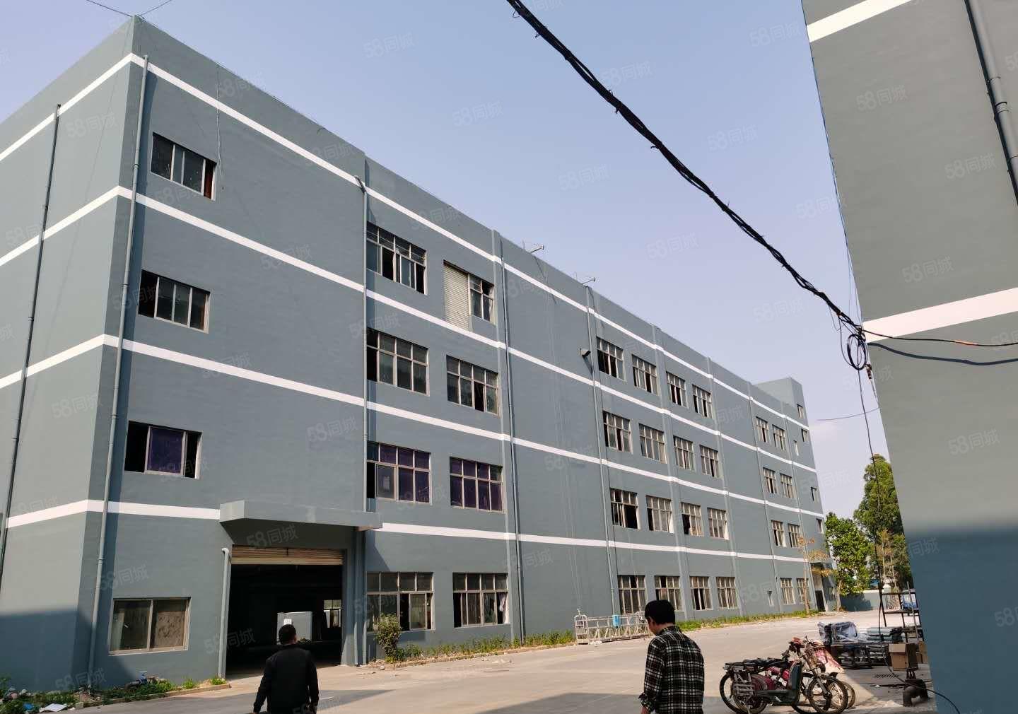 坂田地铁站厂房仓库500平1千平2000平29出租独门独院