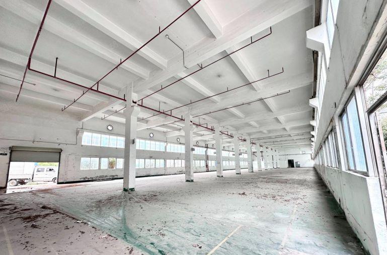 布吉百鸽笼工业区一楼7米高2400平厂房写字楼仓库出租可分租