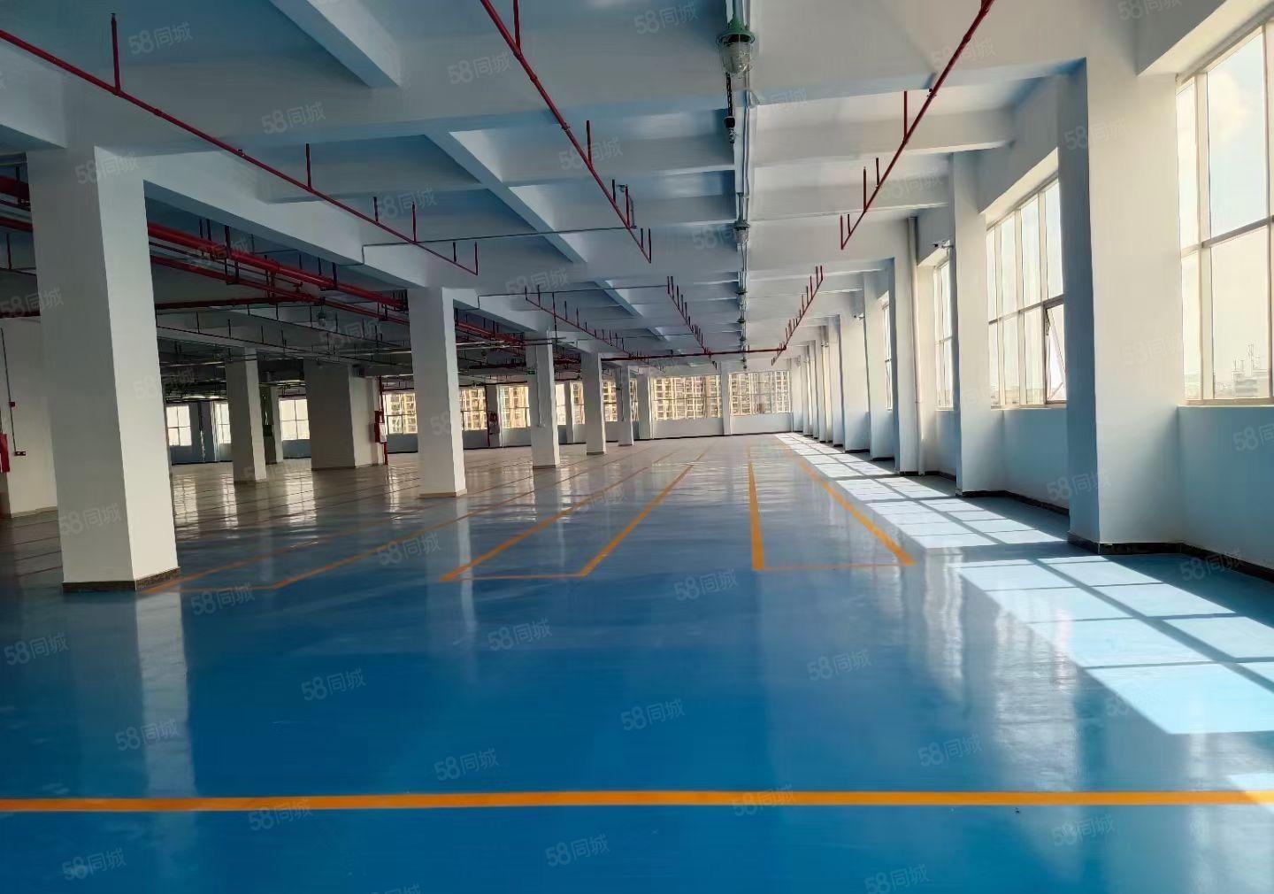 横岗工业园新出楼上2000平精装厂房仓库出租带消防喷淋地坪漆