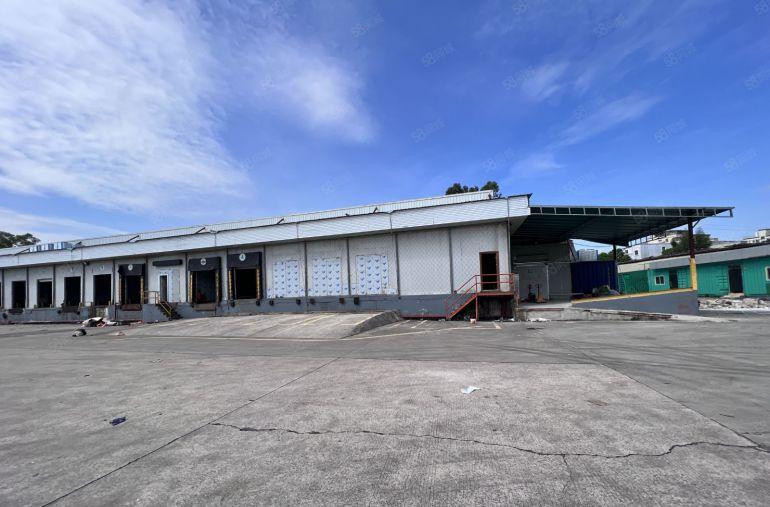 平湖海吉星物流仓独门独院单一层带冻库出租100平起