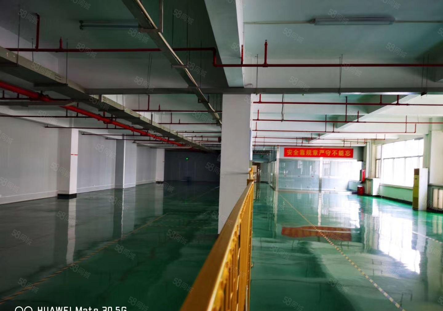 S龙岗中心城独院一楼1000二楼1000平方，可以任意分租