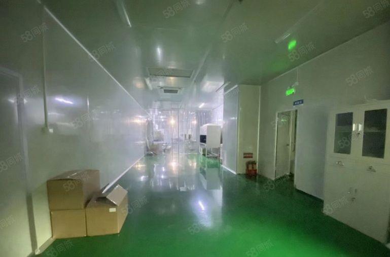 坂田杨美工业园1000平带全新装修红本厂房仓库出租 带地坪漆