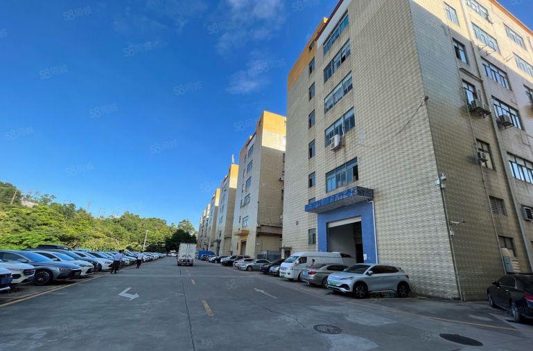 坂田上雪2楼实际面积出租1500平原房东带红本厂房出租