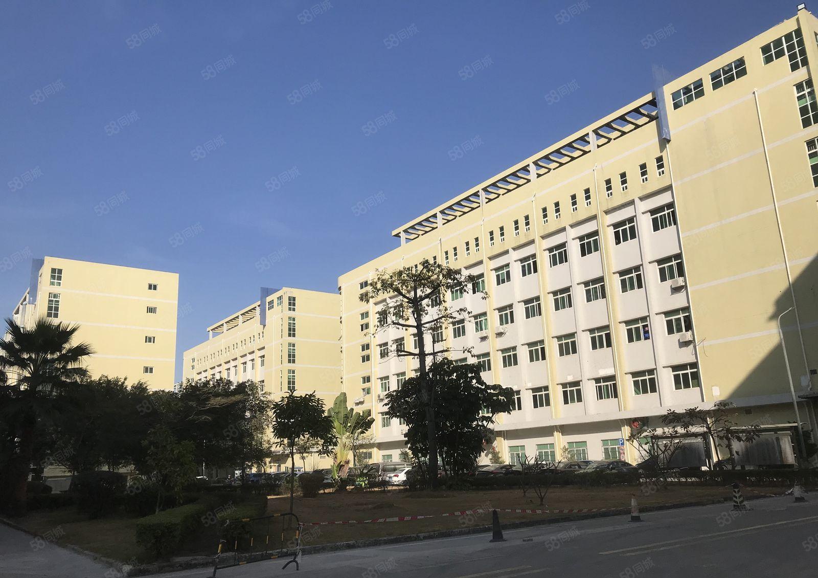 转让或分租无尘车间厂房580平（龙岗宝龙）