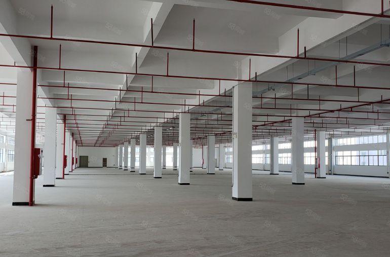出租龙岗爱联1300平方厂房出租仓库招租