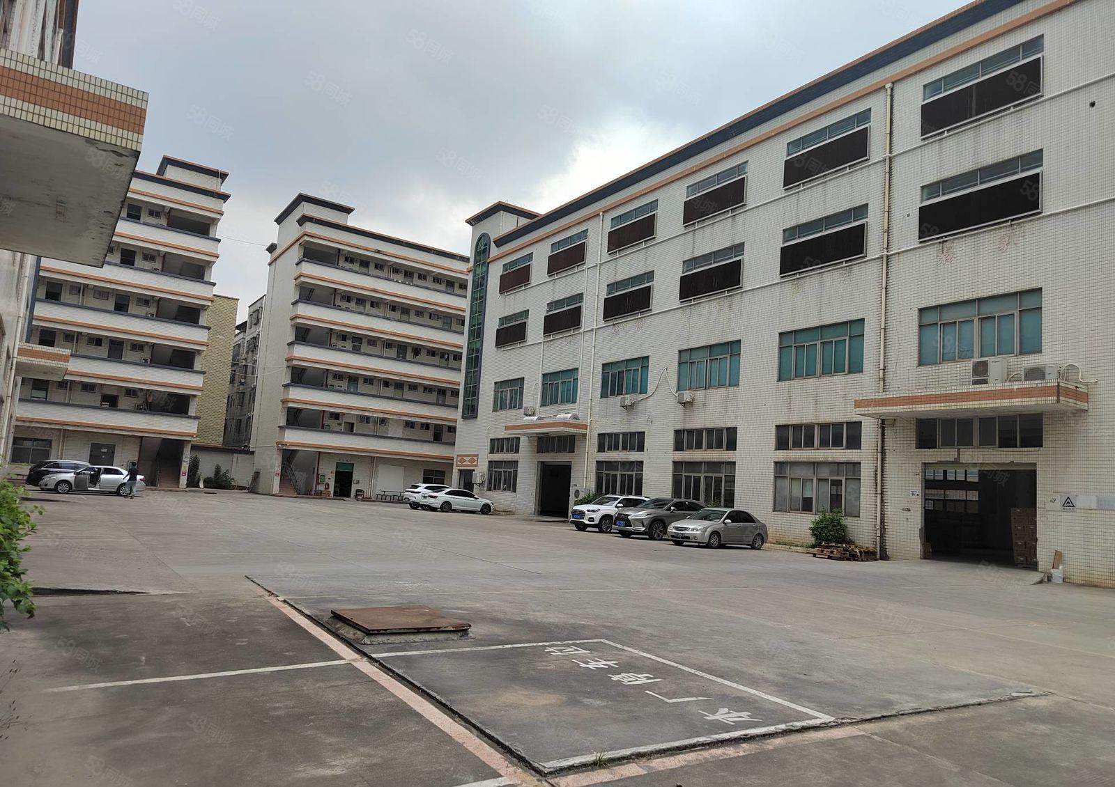 横岗六约龙岗大道边新出楼上精装修厂房1000平方出租