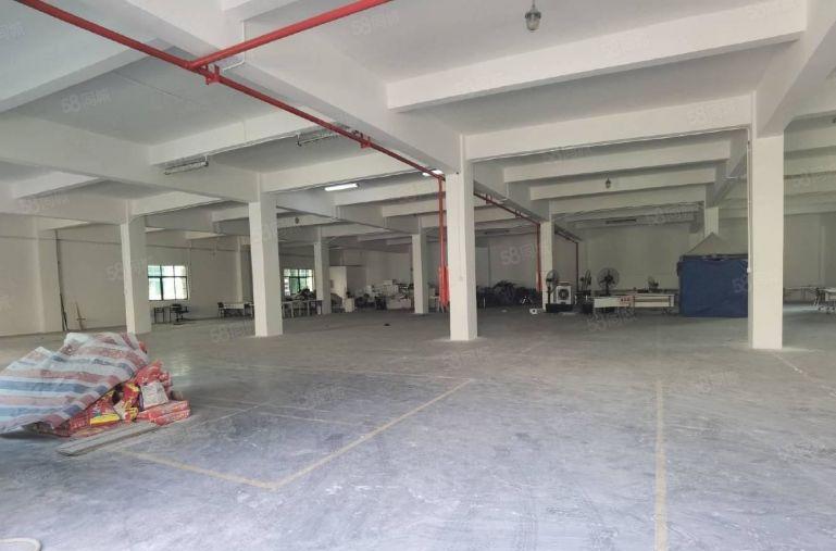 出租坂田电商园1000平厂房低价大小分厂房仓库出租转租