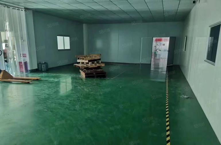 爱联嶂背二村600平方原房东精装修厂房出租