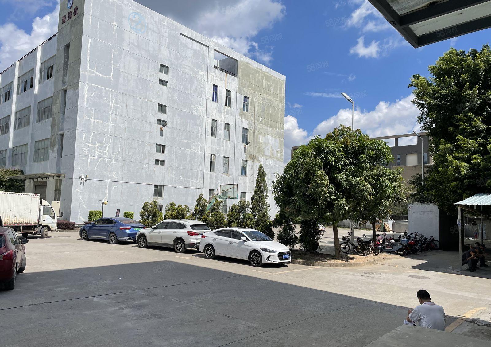 坪地低碳城旁工业园楼上1050平带精装修厂房仓库出租，可办公