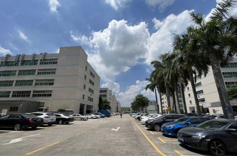 低价一手房东无公摊宝龙科技园新出10000平整栋仓库厂房出租