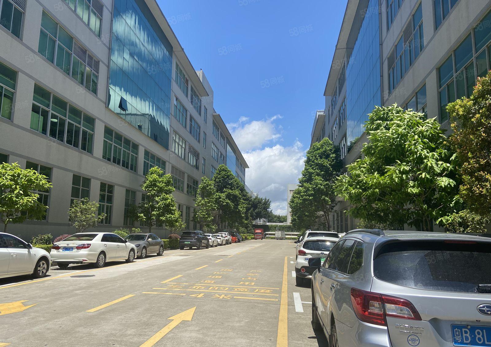 易招工交通便利嶂背大型园区新出2楼850平精装厂房仓库出租