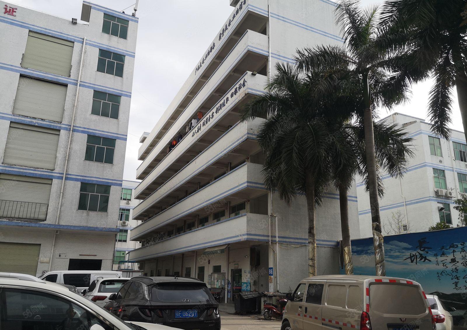 坪地六联新出750平米一楼厂房出租