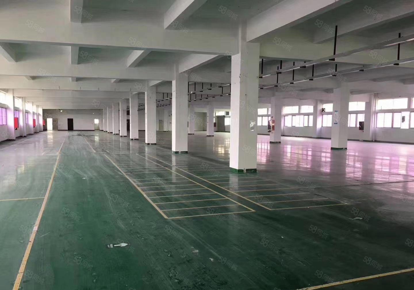 平湖原房东独院3000平方带装修厂房出租