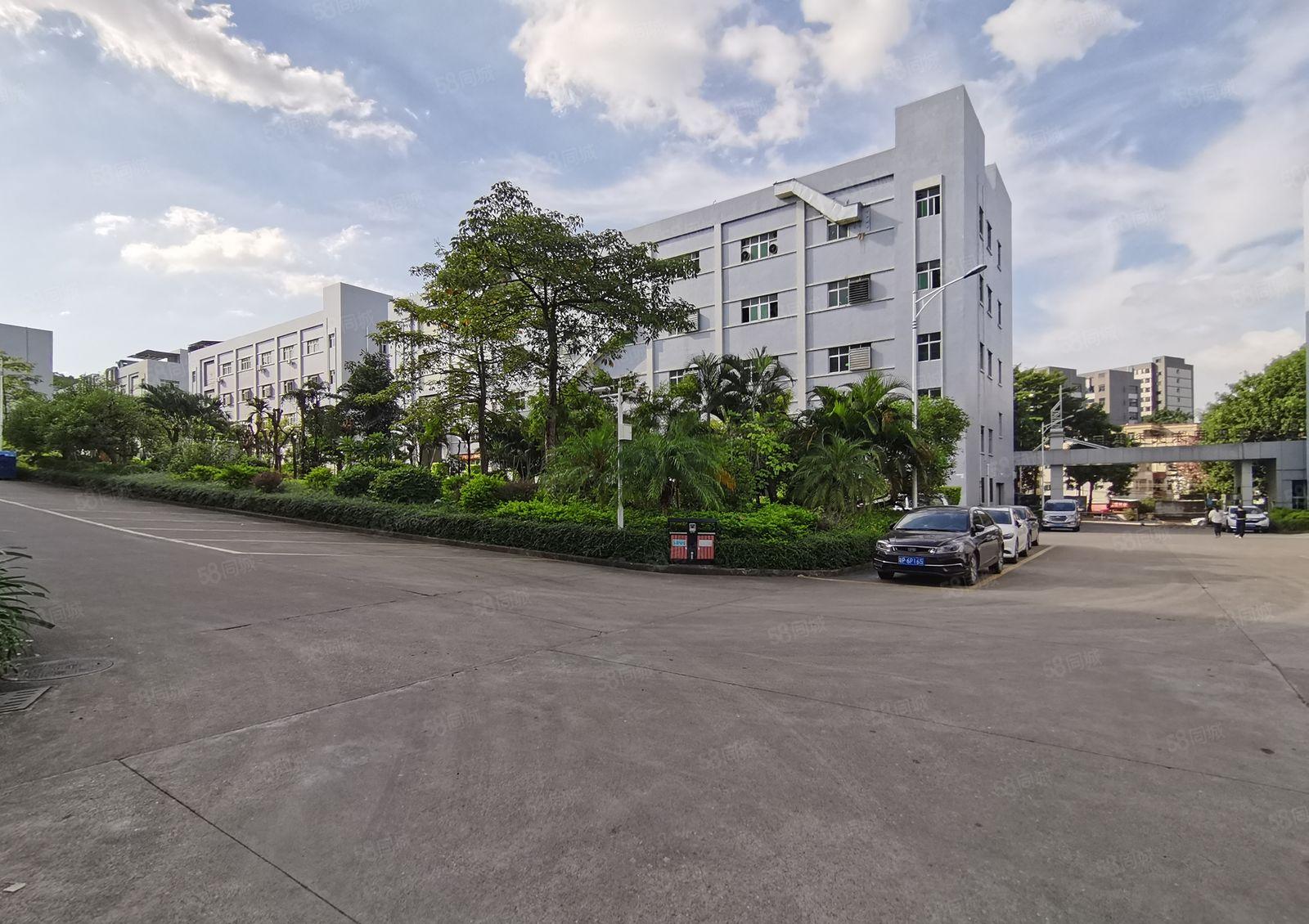 500平起租坂田上雪工业园带精装修电商办公室一楼仓库厂房出租