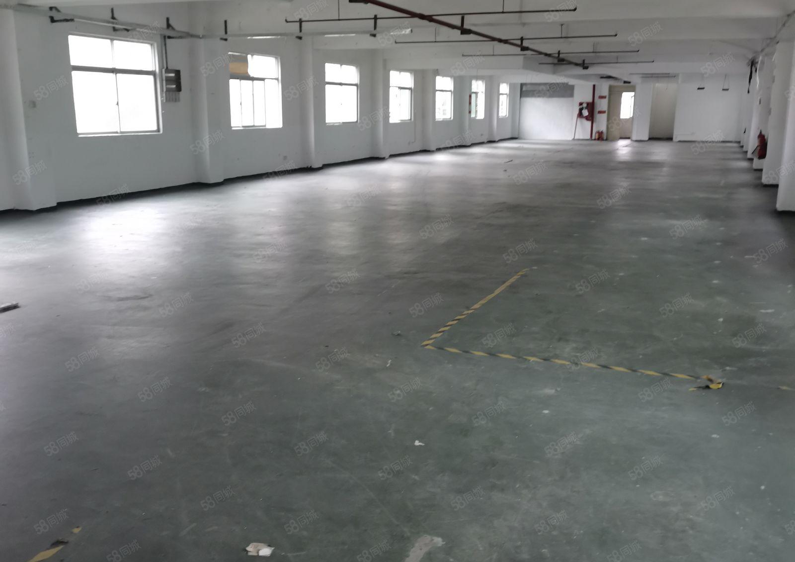 横岗安良独门独院2250平方出租